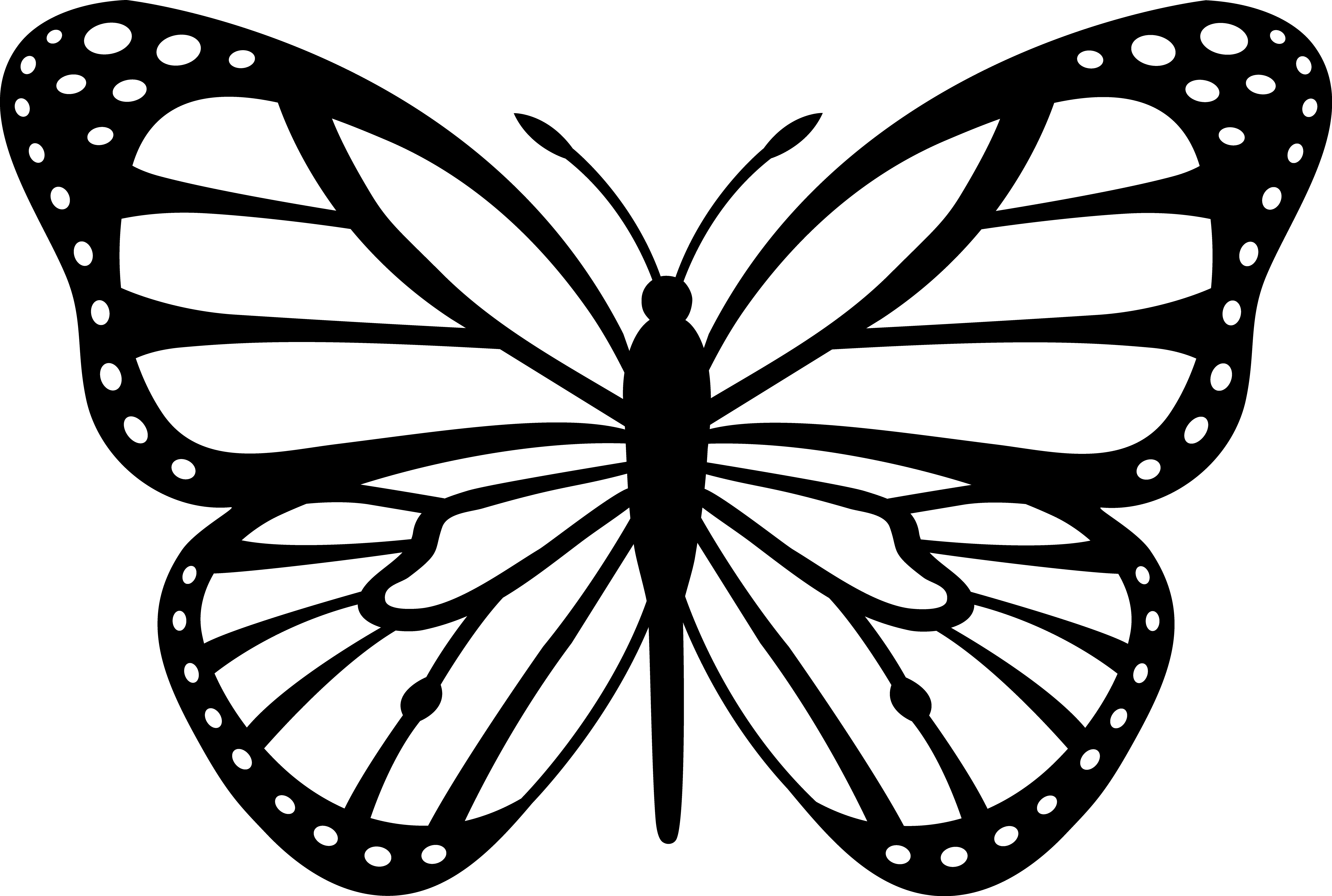 Butterfly Outline Template Cl