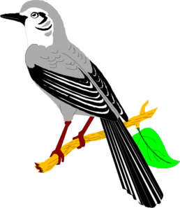 finch clipart - Mockingbird Clipart