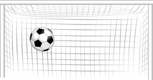 Soccer Ball with Soccer Net .