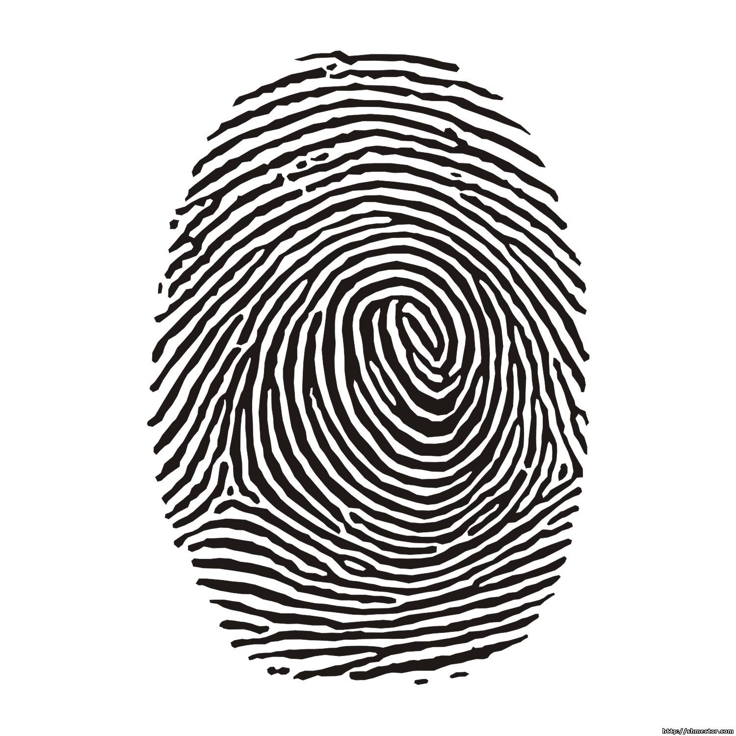 fingerprint clipart - Fingerprint Clip Art
