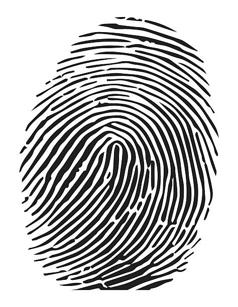 black fingerprint vector art 
