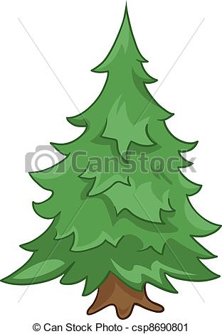 Fir tree isolated on white - 