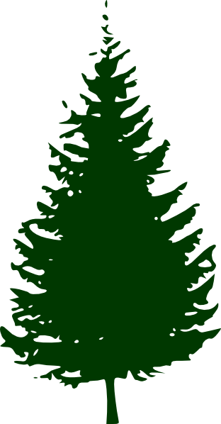 evergreen fir trees vector ar