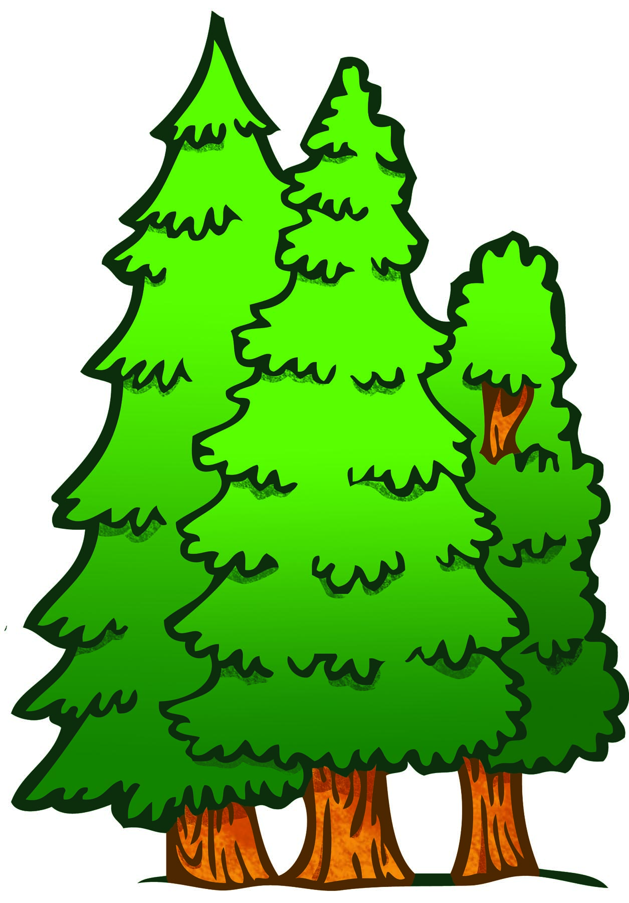 evergreen fir trees vector ar