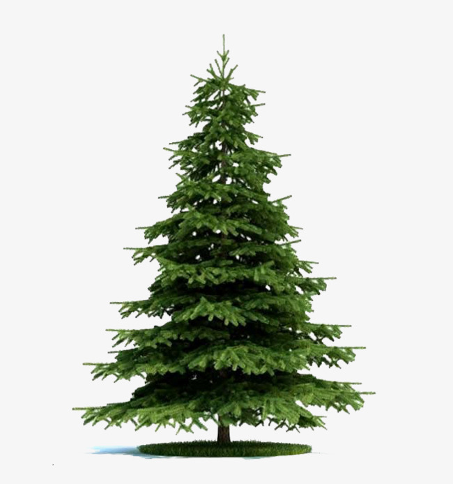 the fir trees in the game, Game Tree, Game, Computer Game PNG Image