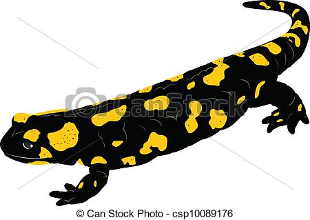 ... Fire Salamander (Salamand - Salamander Clipart