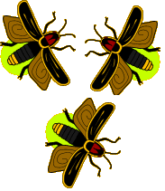 Firefly Insect Clipart - Clipart Kid