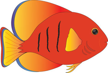 Fish outline clip art