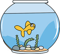 fish bowl with a goldfish. Si - Fish Bowl Clip Art