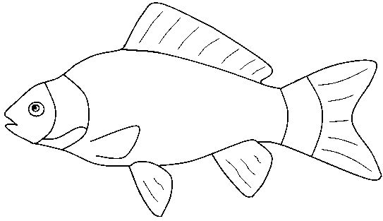 Fish Clip Art Black and White | Printable saltwater fish outlines - Home | biome Images | Pinterest | Home, Clip art and Art