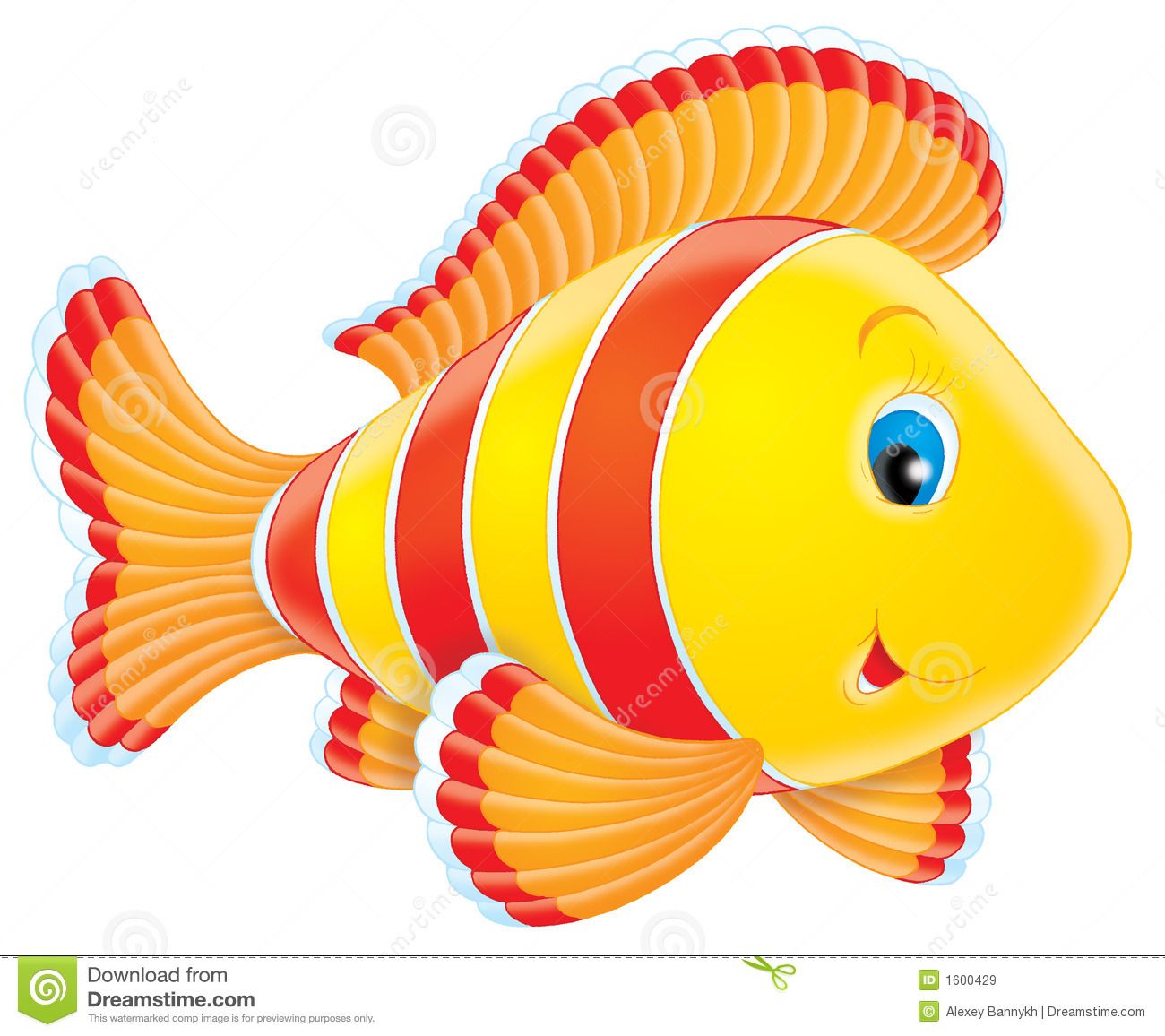 A red, blue, and yellow fish