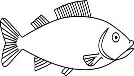 Fish Drawing Outline. Clipart - Fish Outline Clipart