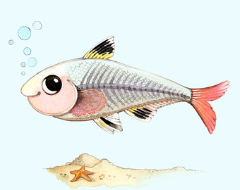Fish Print Kids Room Art Alphabet Animals 8x10 X Is For X Ray Fish