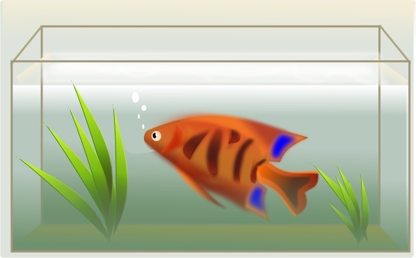 Fish Tank clip art - Fish Tank Clip Art