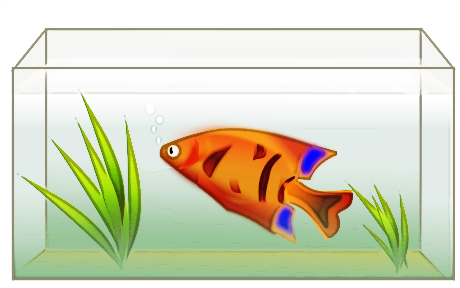 Gold Fish Clipart - Clipart l