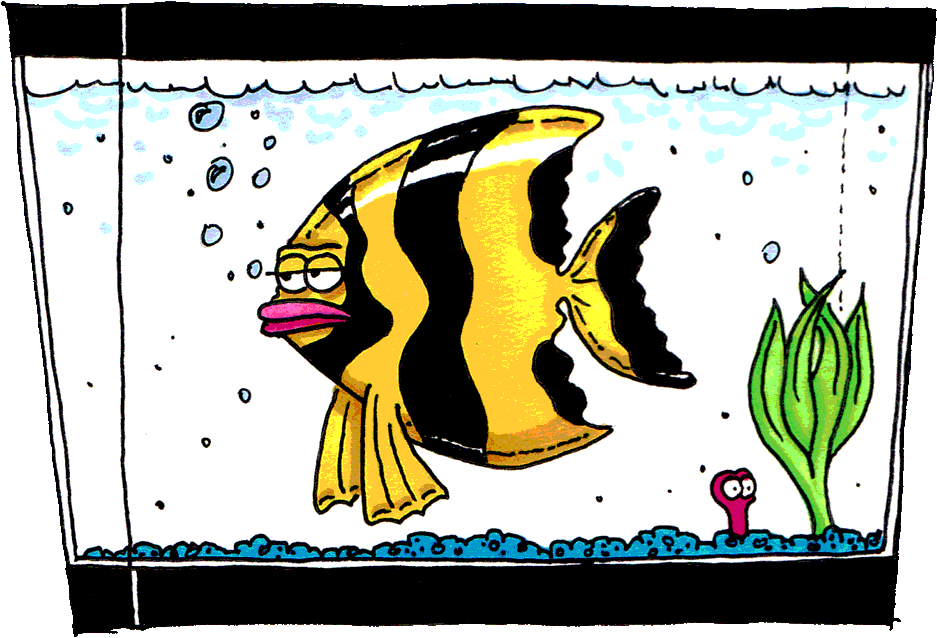 fish tank clipartu0026lt; . - Fish Tank Clip Art