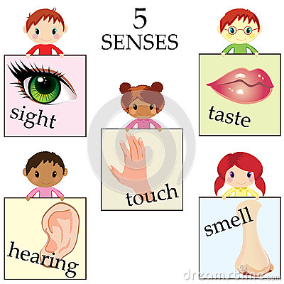 Five Senses Clip Art. Five Senses Icons Controlled By Brain Royalty Free Stock Photos - Image: 15603058