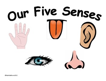 Five Senses Clipart Cliparthut Free Clipart
