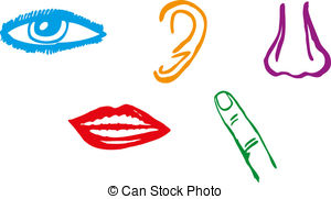 ... Five senses icon set - Vector Illustration