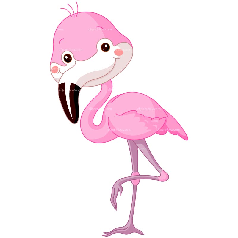Click Small Flamingo Graphic 