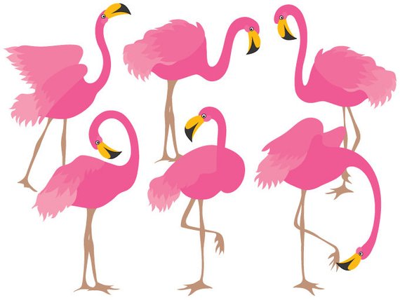 5+ Flamingo Clipart - Preview : Flamingo Clip Art | HDClipartAll