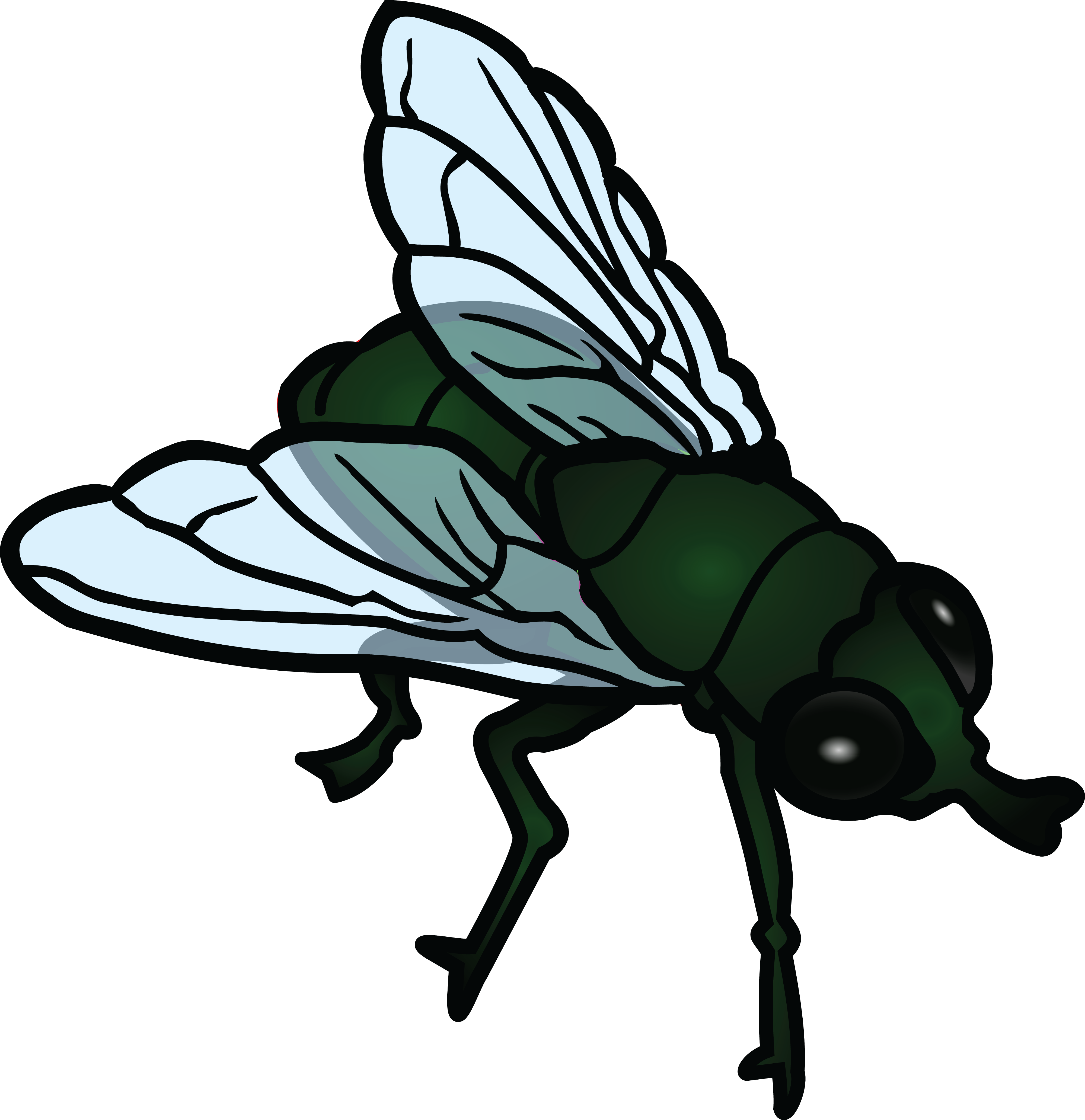 Free Clipart Of A fly #00011377 .