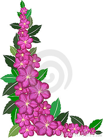 flower border clipart - Flower Border Clip Art