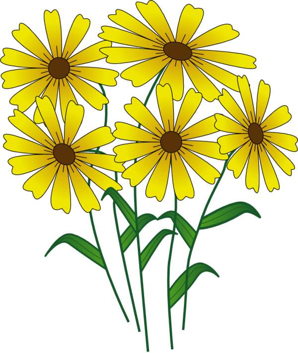 Flower clip art free download - Free Clipart Of Flowers
