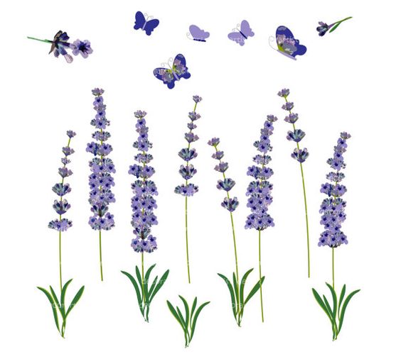 Flower clip art, vintage lavender, botanical flowers,butterfly clip art, purple flowers