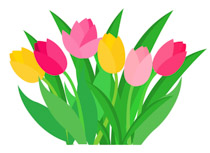 tulips daffodil spring flower in pot clipart. Size: 92 Kb