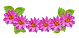 Flower Crown png image free download. High Resolution Size : Big Format: PNG