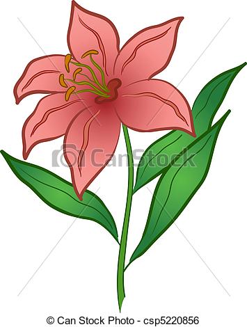 Flower lily isolated on white - Lily Clip Art