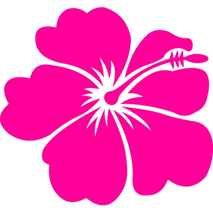 flowers clip art pink | Free .