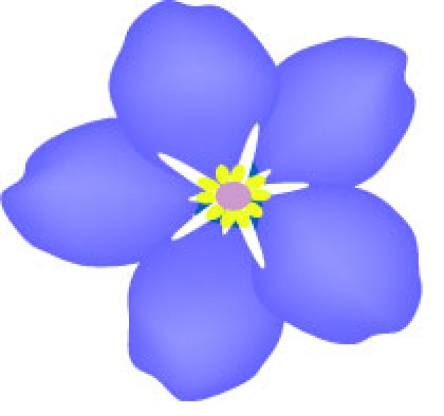 Daisy Flower Clipart
