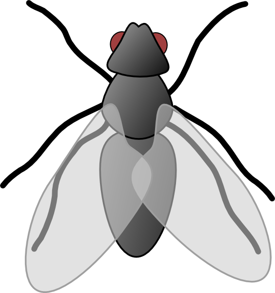 Fly Clipart Black And White C