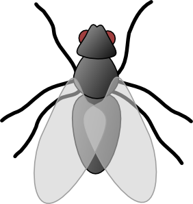 Flying Bug Clipart #1
