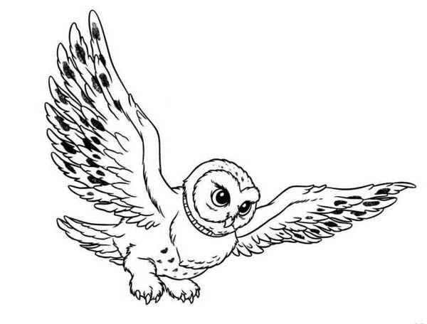 flying snowy owl clipart