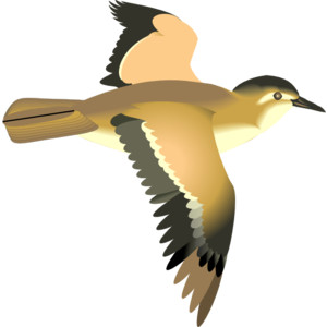 Flying Bird clip art - Flying Bird Clipart