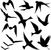 Flying bird; Flying bird silhouettes