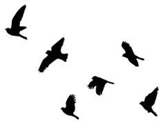 Flying Bird Tattoos on .