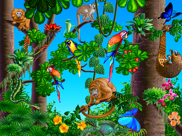 Jungle Theme Clipart