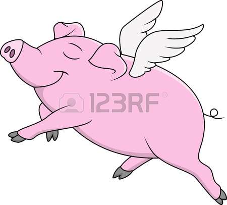 flying pig: Pig Flying Cartoon