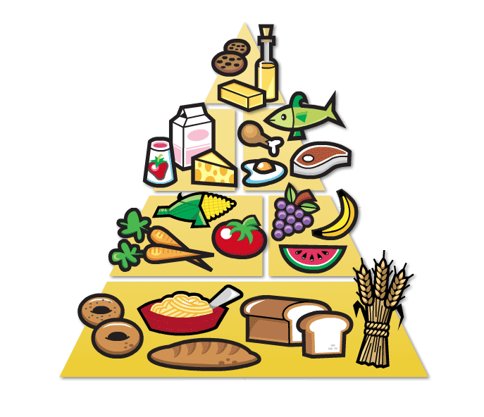 food pyramid clipart