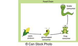 Food chain Clip Artby ... - Food Chain Clipart