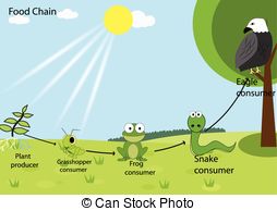 Food chain Stock Illustration - Food Chain Clipart