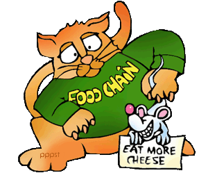 Food Chains - Food Chain Clipart
