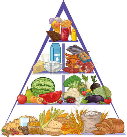 food pyramid: Food pyramid Illustration