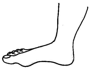 Foot Clip Art - Foot Clip Art
