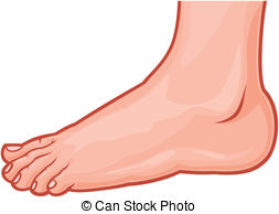 ... foot standing (human foot - Foot Clipart