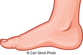 foot clipart
